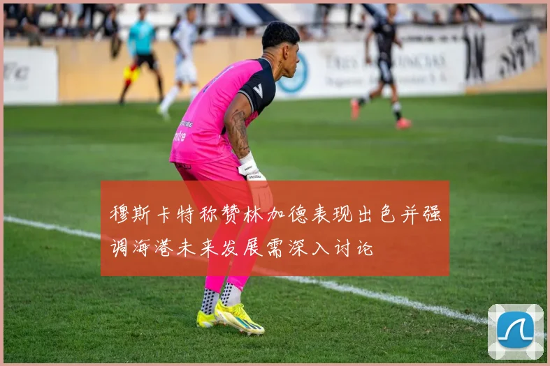 穆斯卡特称赞林加德表现出色并强调海港未来发展需深入讨论