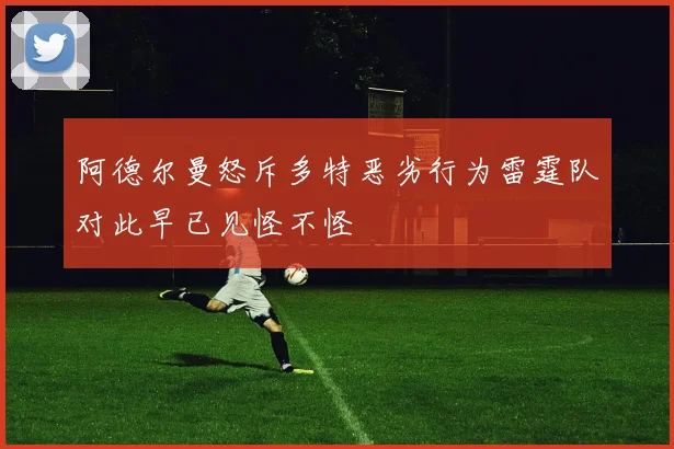阿德尔曼怒斥多特恶劣行为雷霆队对此早已见怪不怪
