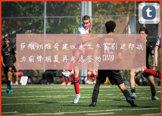 萨维切维奇建议米兰冬窗引进即战力前锋明夏再考虑签约DV9